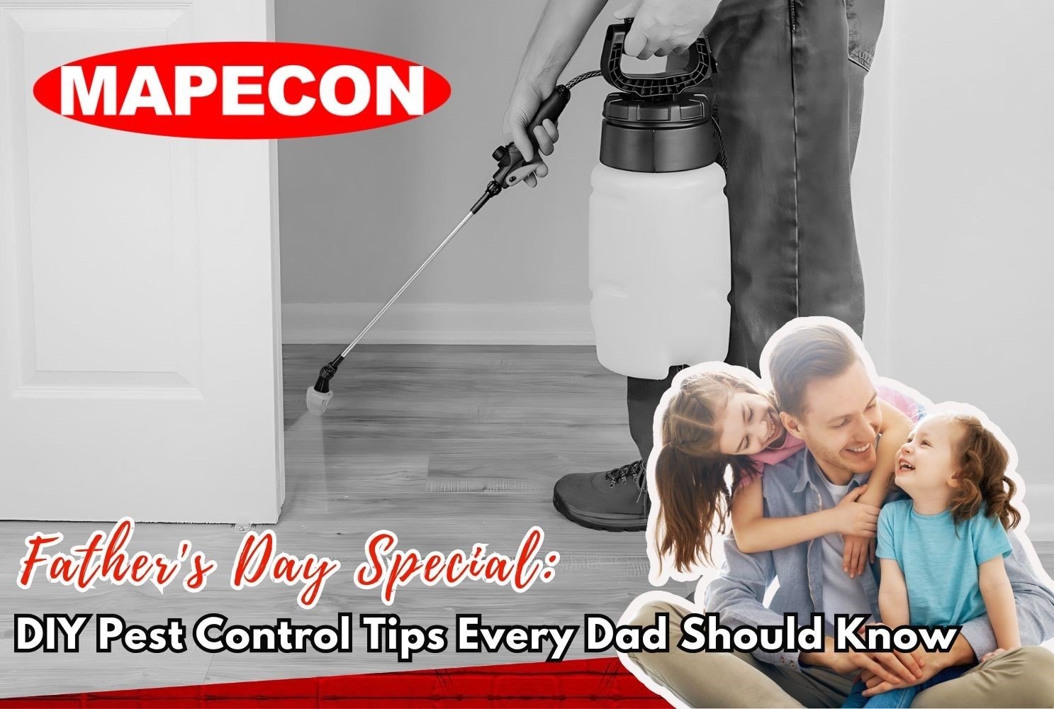 Diy Pest Control Tips Every Dad Should Know