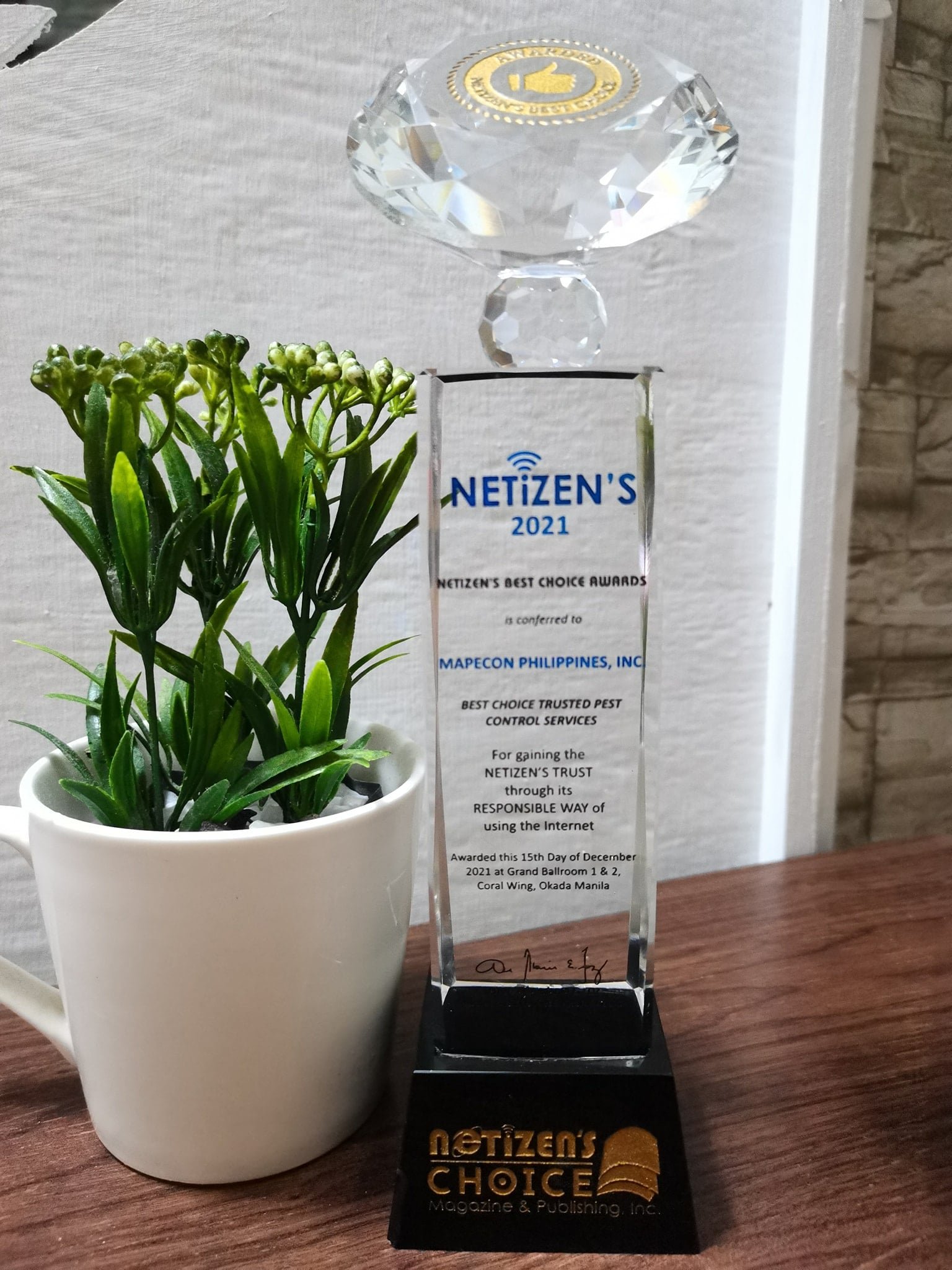 Netizen's Choice Award - MAPECON