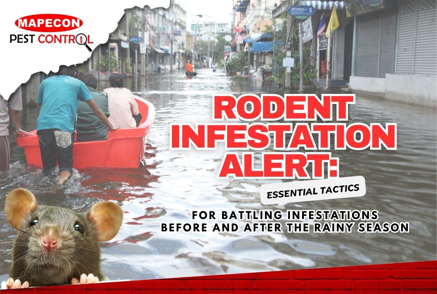 Rodent Infestation Alert: Tactics Before and After Rainy Season